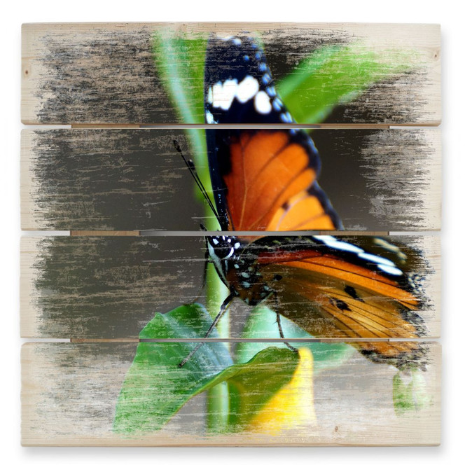 Holzbild Kleiner Falter - 40 x 41.5 cm