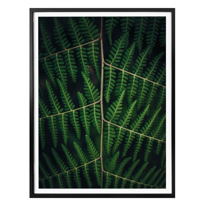 Poster Botanical 03
