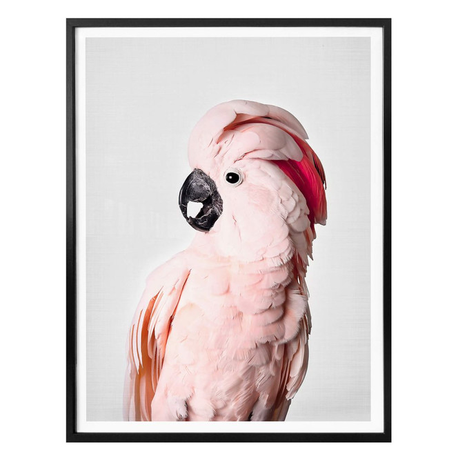 Poster Sisi & Seb - Rosa Kakadu