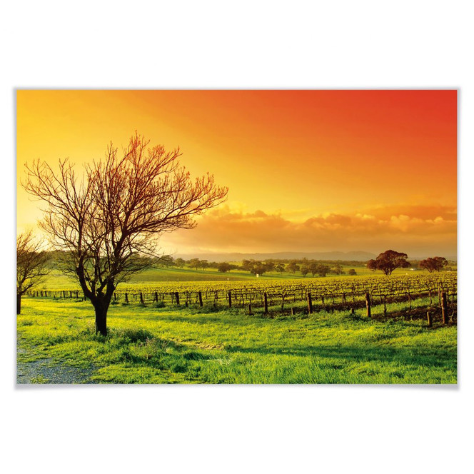 Poster Weinlandschaft