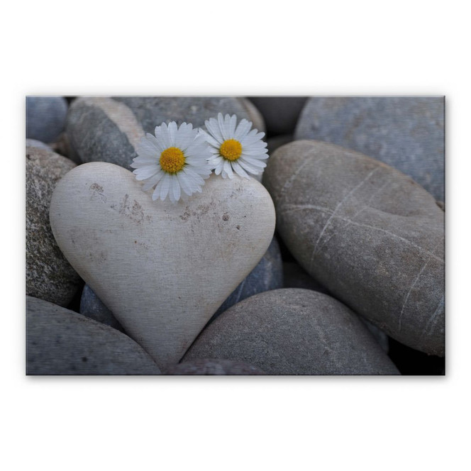 Alu-Dibond Bild Liebesblumen