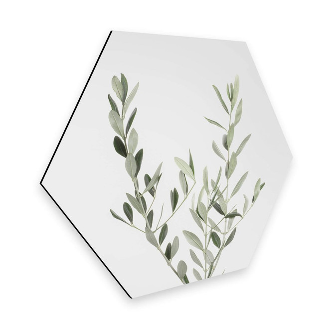 Hexagon - Alu-Dibond Sisi & Seb - Olivenzweig