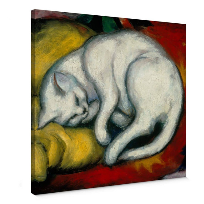 Leinwandbild Marc - Die weisse Katze - quadratisch