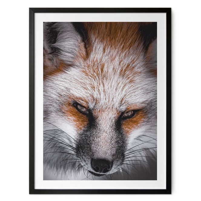 Poster Tierporträt Rotfuchs - Nagi