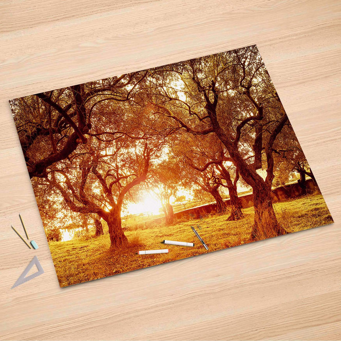 Folienbogen (150x100cm) - Tree Sunlight- Bild 1