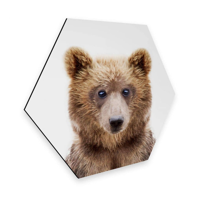 Hexagon - Alu-Dibond Sisi & Seb - Bärenjunges