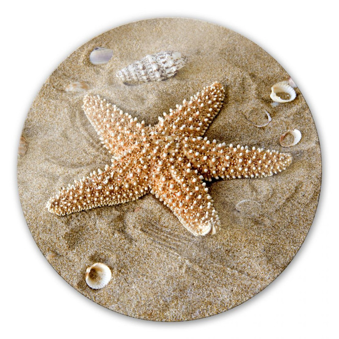 Glasbild Patrick der Seestern - rund