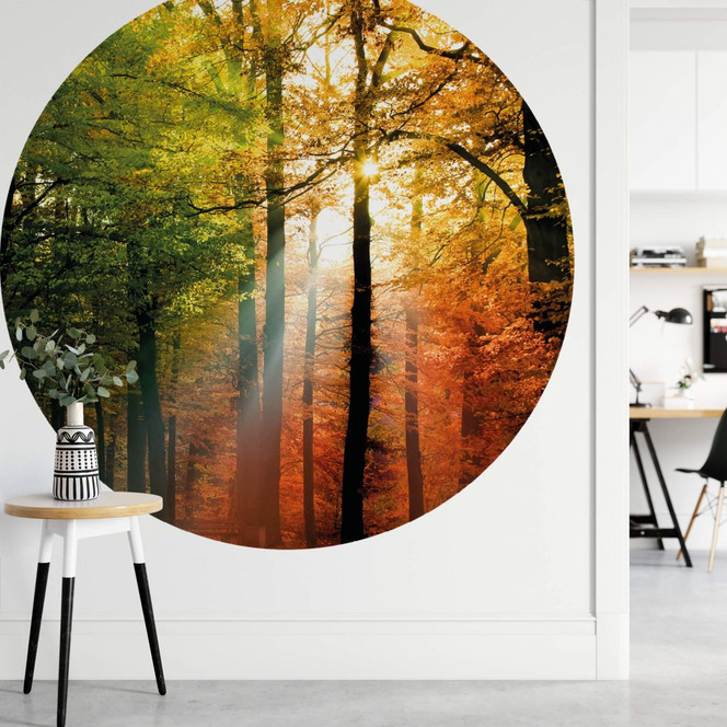 Fototapete Goldener Herbst Wald - Rund - Selbstklebend/Vlies