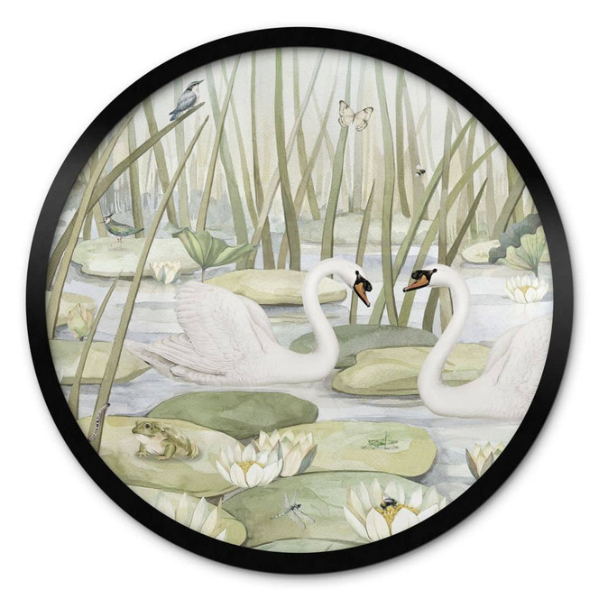 Poster Zwei Schwäne im Teich - Kikki Belle - Rund