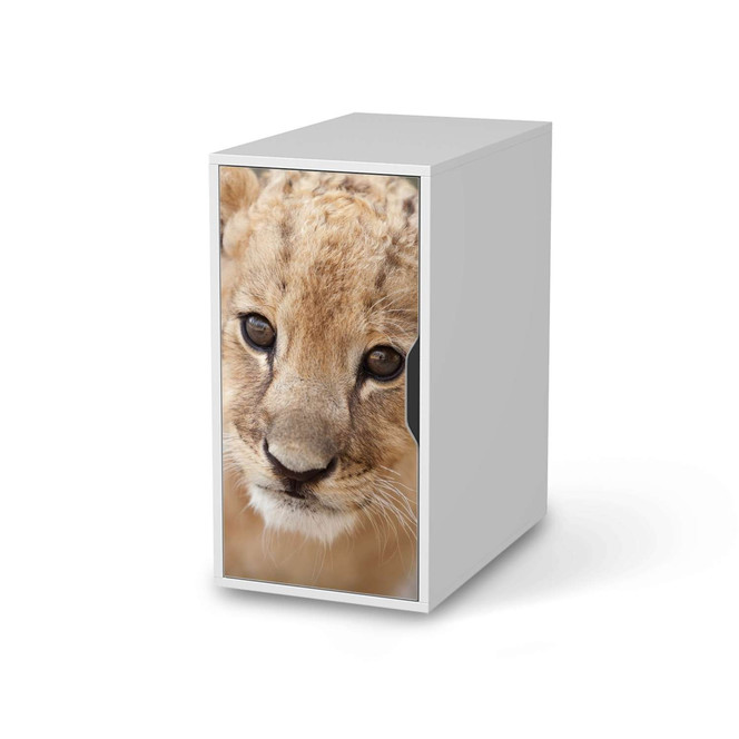 Möbelfolie IKEA Alex Schrank - Simba- Bild 1