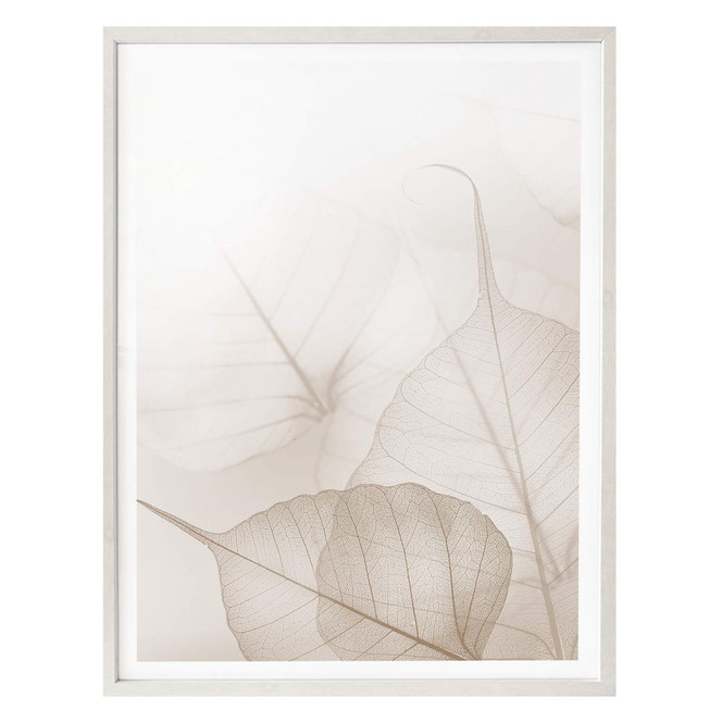 Poster Zarte Blätter