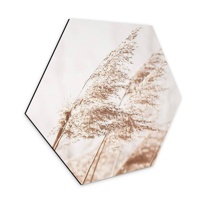 Hexagon - Alu-Dibond Gräser im Wind - Bild 1