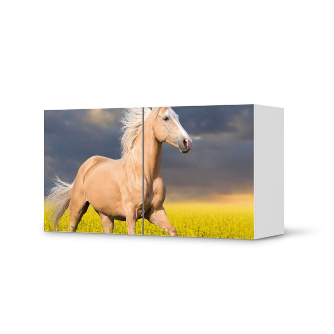 Folie IKEA Besta Regal 2 Türen (quer) - Wildpferd- Bild 1