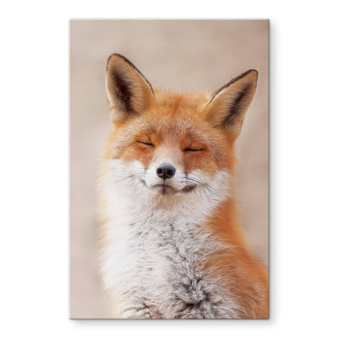 Glasbild van Duijn - Zufriedener Fuchs