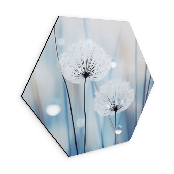 Hexagon Wandbild Tauperlen auf Pusteblumen - Treechild - Alu-Dibond