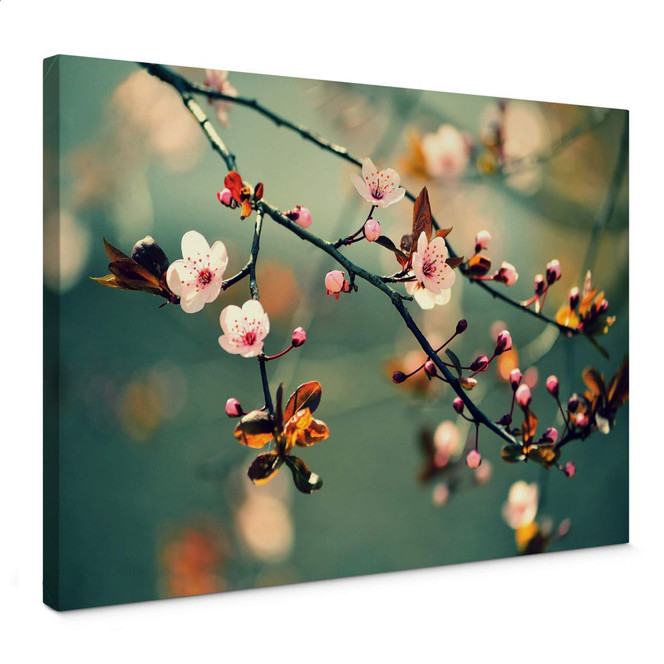 Leinwandbild Frühlingserwachen