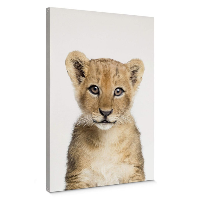 Leinwandbild Sisi & Seb - Baby Löwe