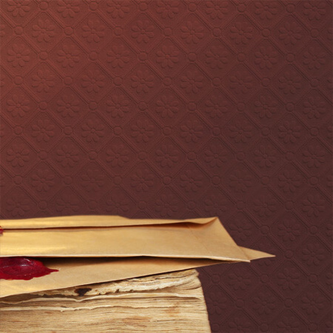 Anaglypta® Amber Luxuriöse strukturierte Vinyltapete überstreichbar, weiss - Bild 1