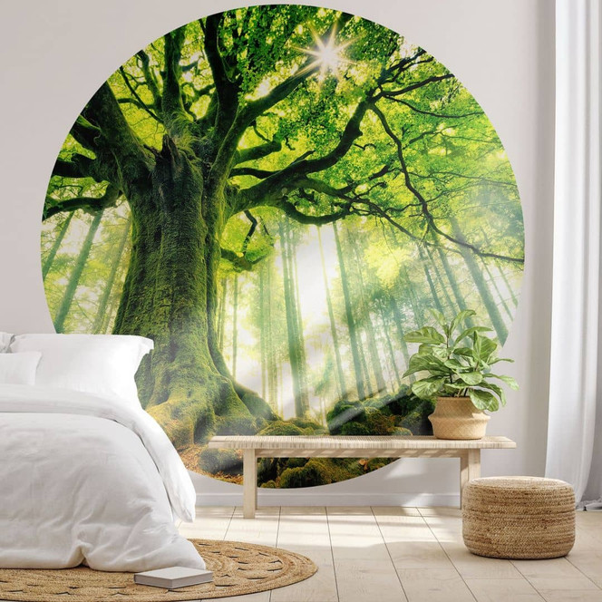 Fototapete Märchenwald - Waldtapete Rund - Kiciak - Selbstklebend/Vlies