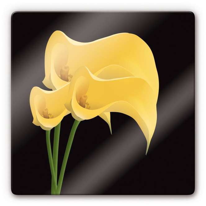 Glasbild Calla-Lilie 02