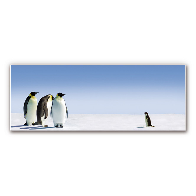 Hartschaumbild Penguin - Panorama