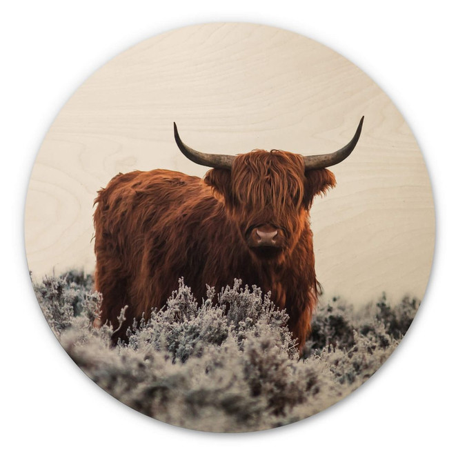 Holzbild van den Helm - Highlander - Rund