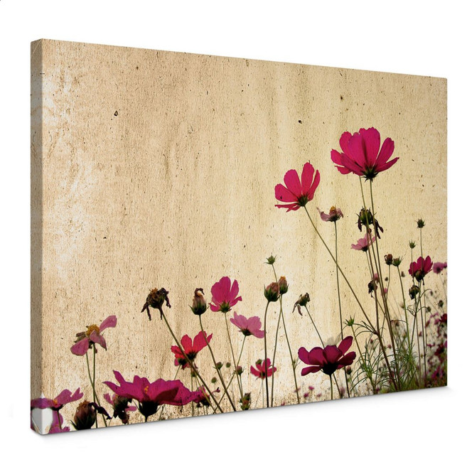 Leinwandbild Blumenwiese