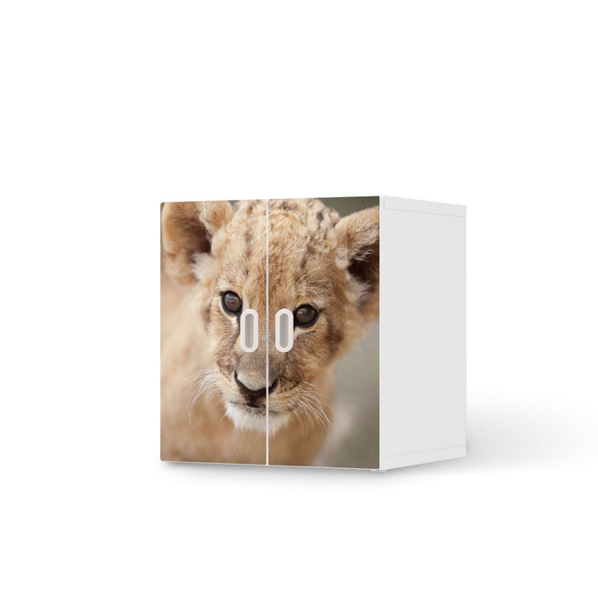 Möbelfolie IKEA Stuva / Fritids Schrank - 2 kleine Türen - Simba- Bild 1