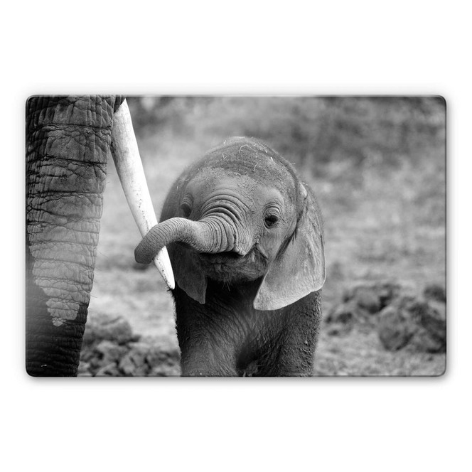 Glasbild Alicke - Close to Mum