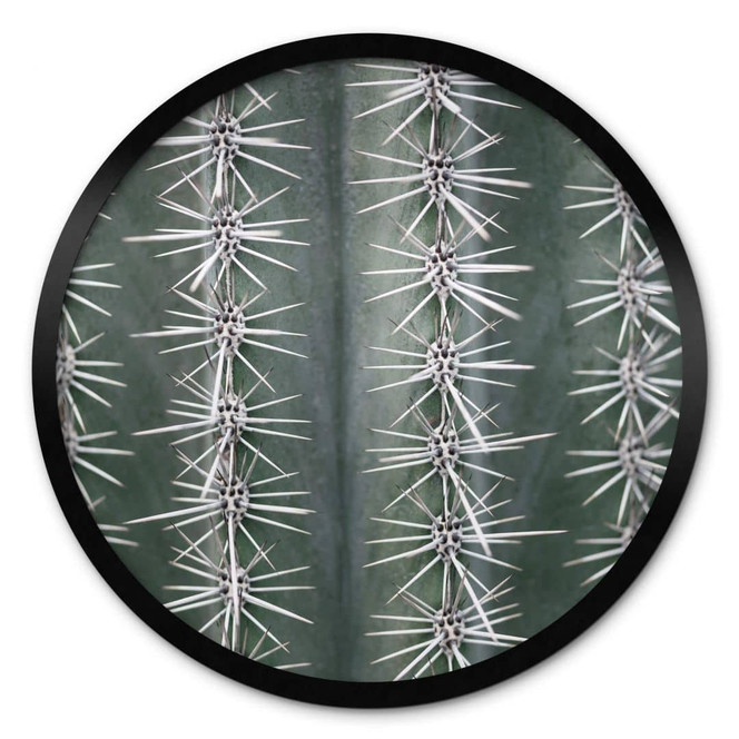 Poster 1X Studio - Kaktus - Rund