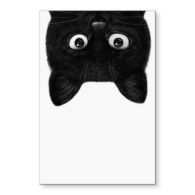 Wandbild Schwarze Katze kopfüber - Korenkova - Alu-Dibond