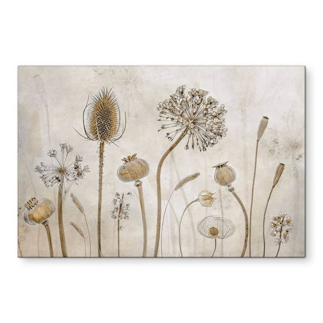 Wandbild Trockenblumen - Disher - Alu-Dibond