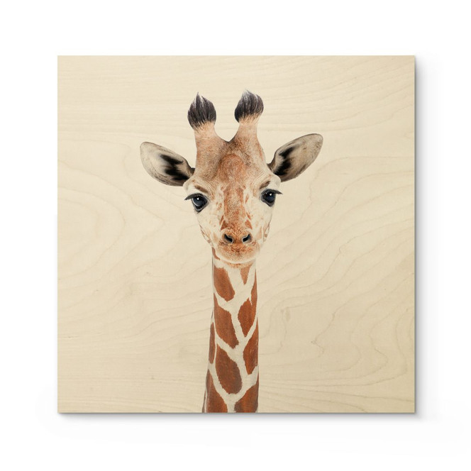Holzbild Baby Giraffe - Sisi & Seb - Quadratisch