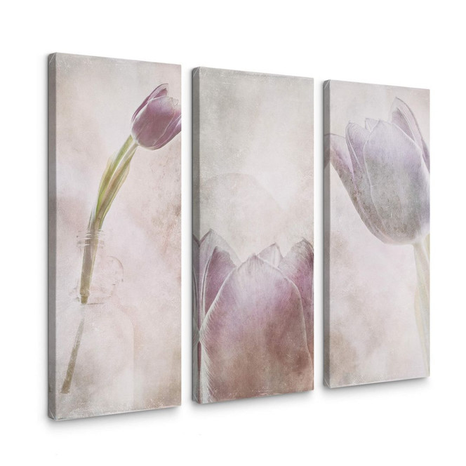 Leinwandbild Davidsson - Tulpen - 3x 30x80cm - Bild 1
