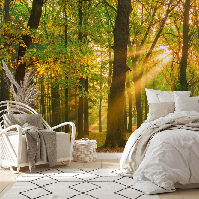 Wald-Fototapete mit Sonnenstrahlen Grün Braun – Vliestapete 3.75 m x 2.50 m Naturmotiv