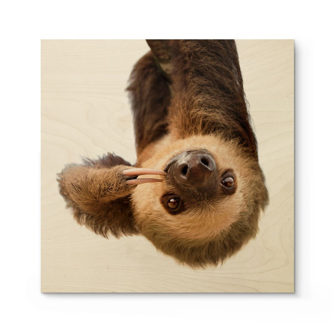 Holzbild Das Faultier - Quadratisch - Sisi & Seb