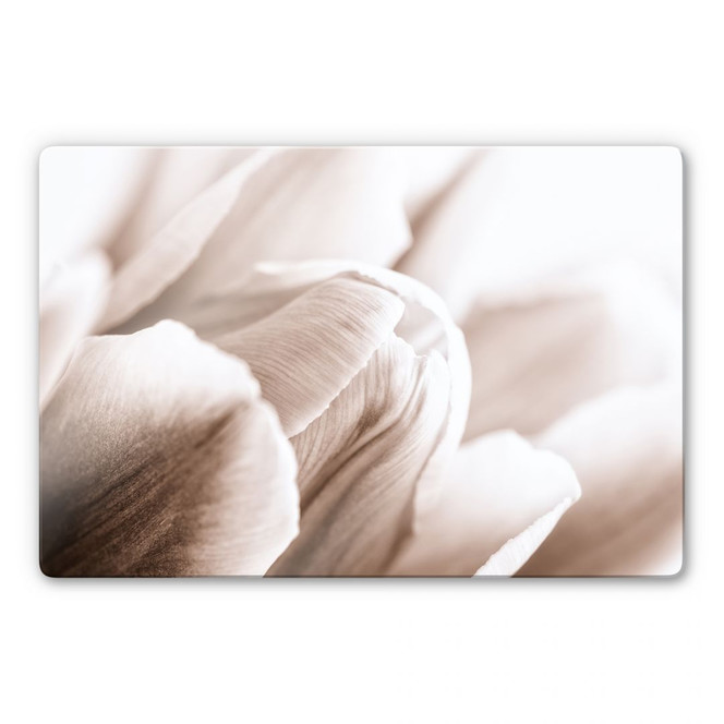 Glasbild Tulpe im Detail