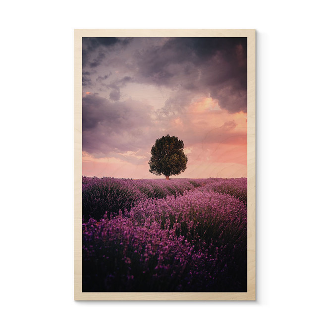 Holzbild Lila Lavendelfelder bei Sonnenuntergang - Cevik