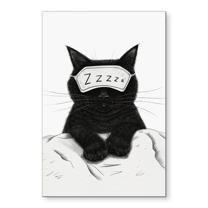 Wandbild Schwarze Katze mit Schlafmaske - Korenkova - Alu-Dibond