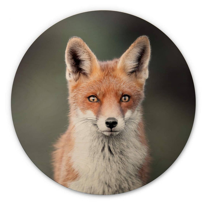 Holzbild van Duijn - Fuchsaugen - Rund