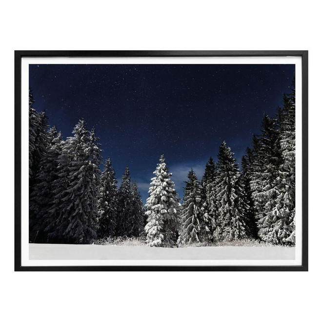 Poster - Winterwald