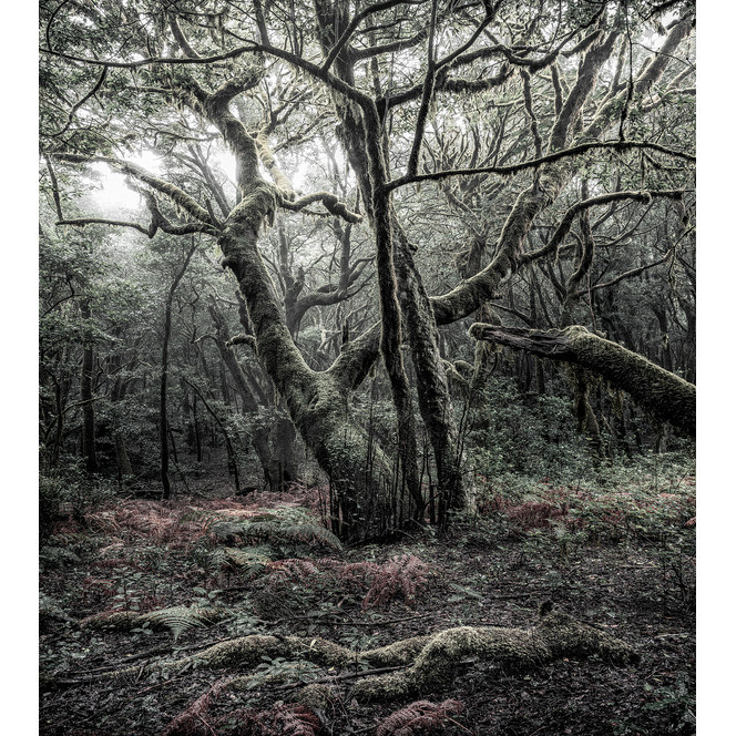 Fototapete Das Model