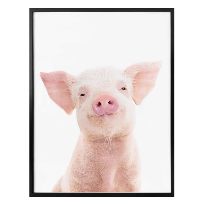 Poster Sisi & Seb - Ferkel