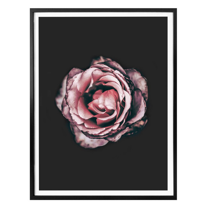 Premiumposter Pink Flower Dream 02