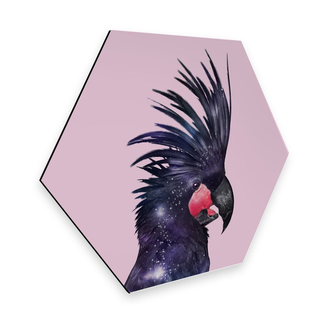 Hexagon - Alu-Dibond Loose - Galaxy Bird