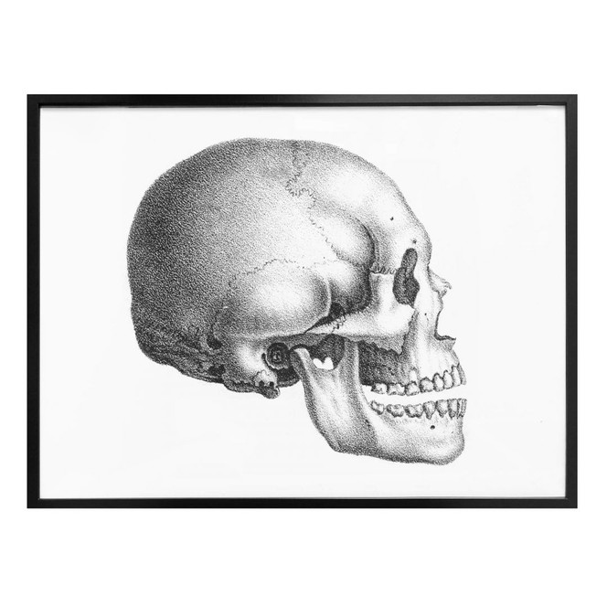 Poster Totenschädel 01