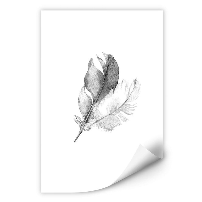 Wallprint Federn