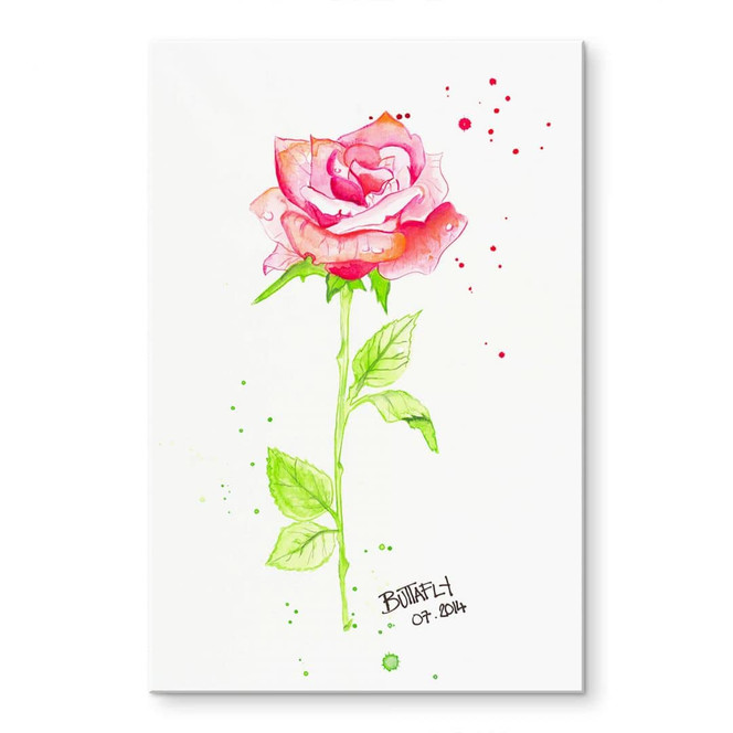Acrylglasbild Buttafly - Rose