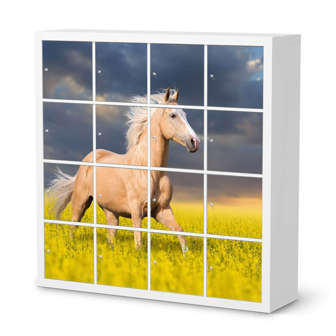 Möbelfolie IKEA Expedit Regal 16 Türen - Wildpferd- Bild 1