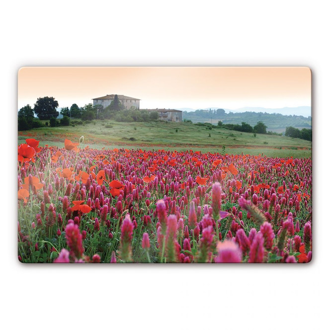 Glasbild Blumenwiese Toskana